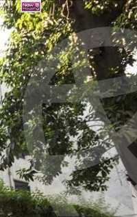 https://aqarmap.com.eg/ar/listing/5379907-for-sale-cairo-al-zamalek-elzamalek-elqibliya