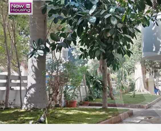 https://aqarmap.com.eg/en/listing/5382034-for-sale-cairo-al-zamalek-cairo-al-zamalek-el-zamalek