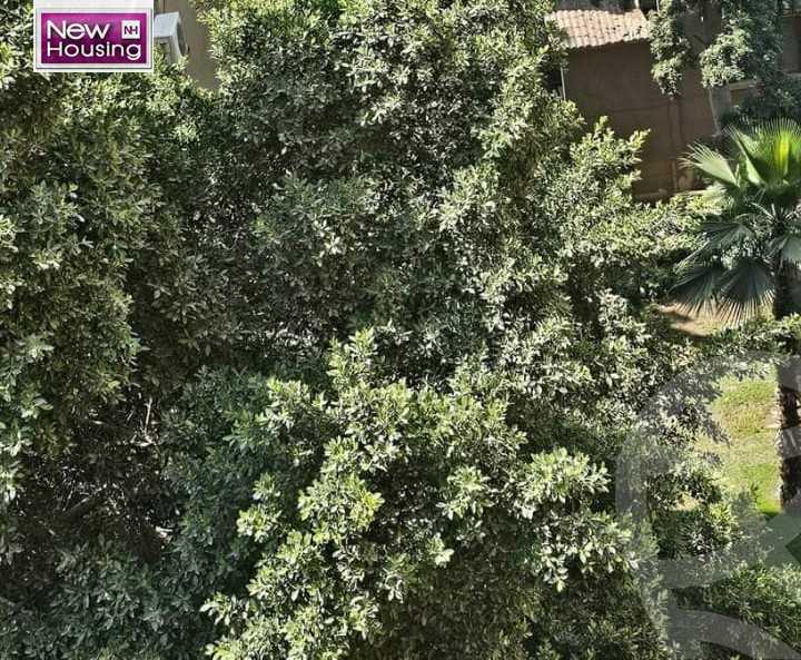 https://aqarmap.com.eg/ar/listing/5488049-for-sale-cairo-al-zamalek-elzamalek-elqibliya