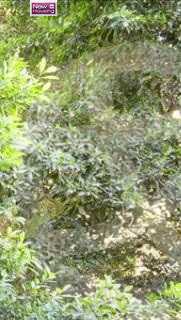 https://aqarmap.com.eg/en/listing/5555398-for-sale-cairo-al-zamalek