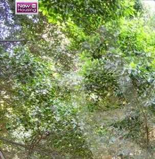 https://aqarmap.com.eg/en/listing/5555398-for-sale-cairo-al-zamalek