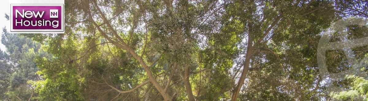 https://aqarmap.com.eg/en/listing/5555398-for-sale-cairo-al-zamalek