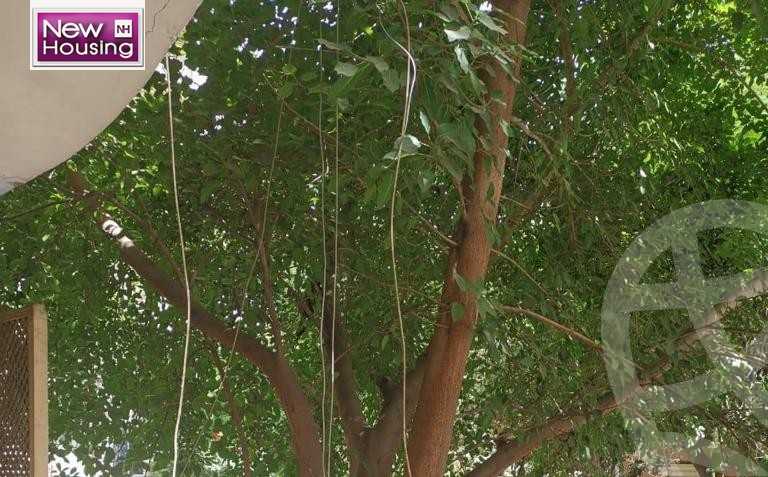 https://aqarmap.com.eg/ar/listing/5566571-for-sale-cairo-al-zamalek