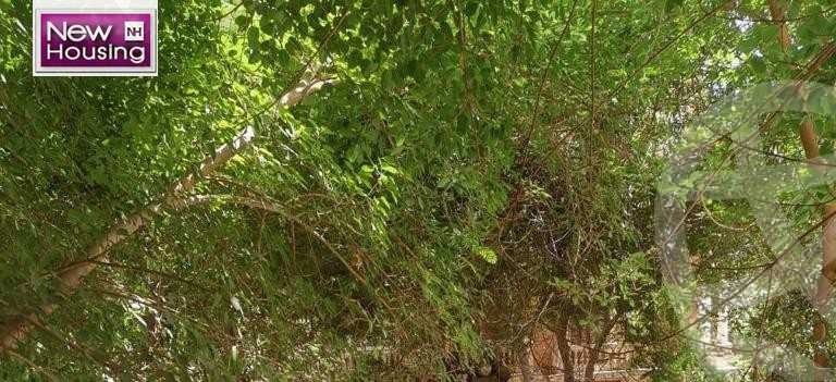 https://aqarmap.com.eg/ar/listing/5566571-for-sale-cairo-al-zamalek