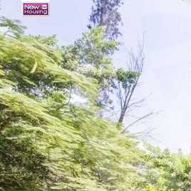 https://aqarmap.com.eg/ar/listing/5570261-for-sale-cairo-al-zamalek
