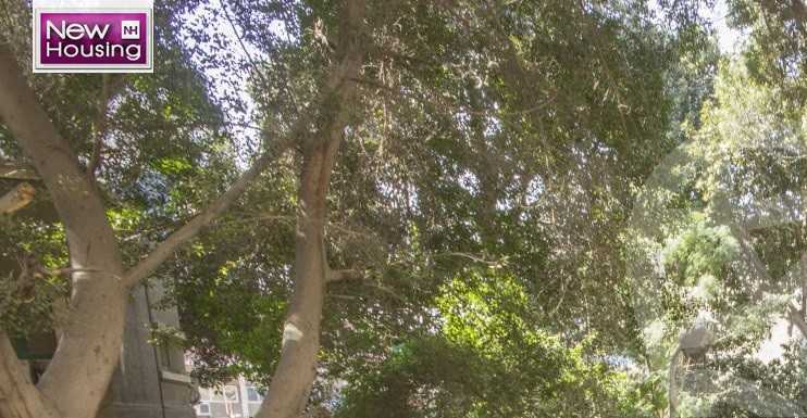 https://aqarmap.com.eg/en/listing/5591831-for-sale-cairo-al-zamalek