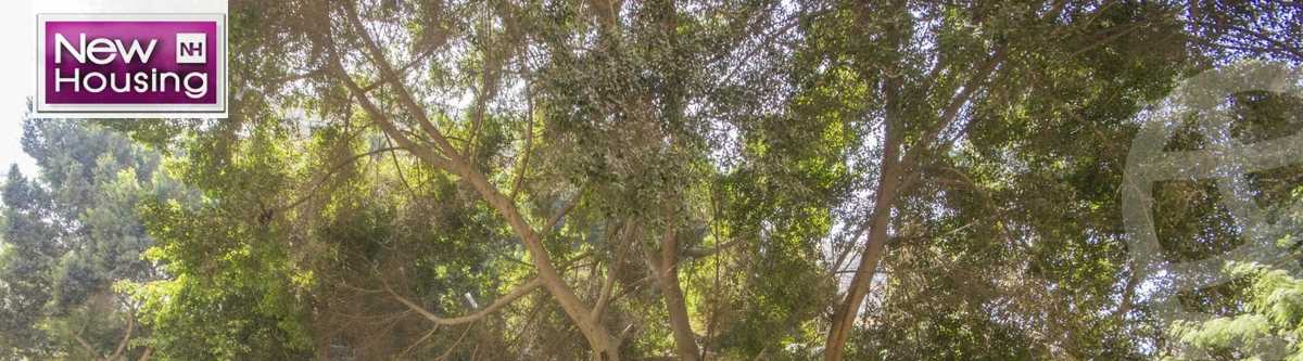 https://aqarmap.com.eg/en/listing/5591831-for-sale-cairo-al-zamalek