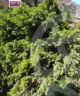 https://aqarmap.com.eg/en/listing/5645315-for-sale-cairo-al-zamalek-elzamalek-elqibliya