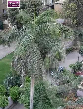 https://aqarmap.com.eg/en/listing/5711134-for-sale-cairo-al-zamalek-elzamalek-elqibliya