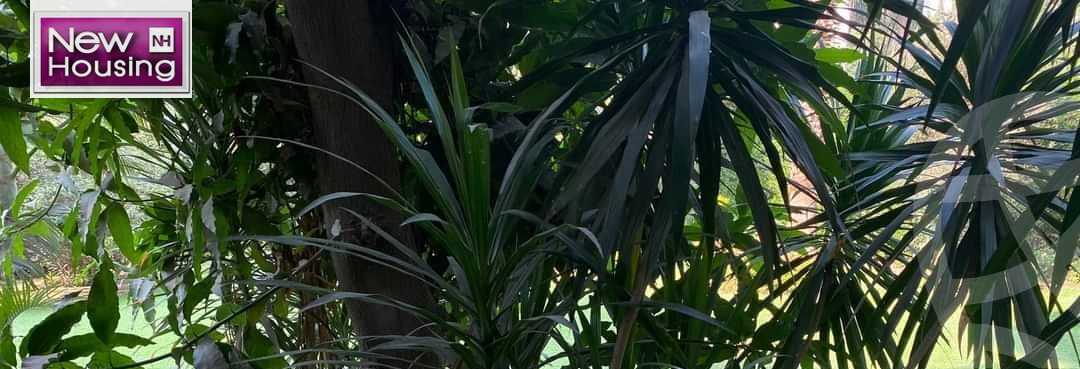 https://aqarmap.com.eg/ar/listing/5731735-for-sale-cairo-al-zamalek-elzamalek-elqibliya