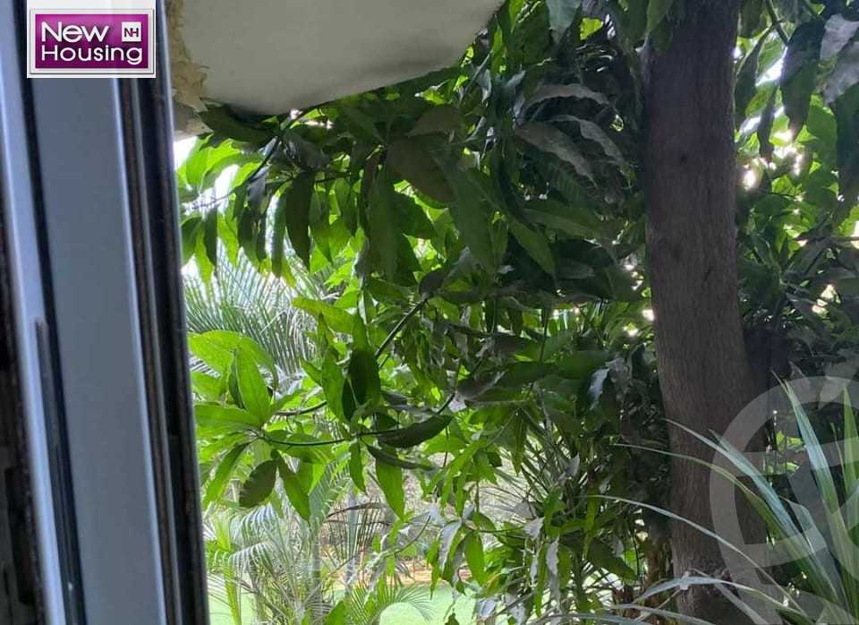 https://aqarmap.com.eg/ar/listing/5731735-for-sale-cairo-al-zamalek-elzamalek-elqibliya