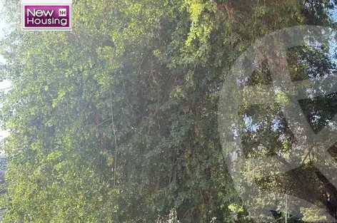 https://aqarmap.com.eg/en/listing/5750046-for-sale-cairo-al-zamalek-elzamalek-elqibliya