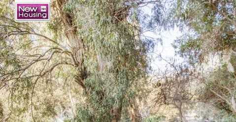 https://aqarmap.com.eg/ar/listing/5771975-for-sale-cairo-al-zamalek-elzamalek-elqibliya