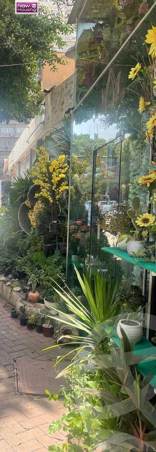 https://aqarmap.com.eg/ar/listing/5772946-for-sale-cairo-al-zamalek