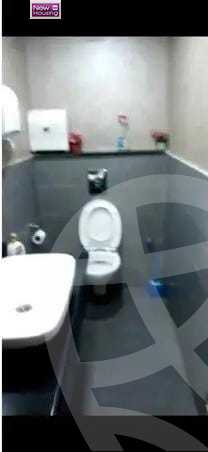 https://aqarmap.com.eg/en/listing/5774878-for-sale-cairo-al-zamalek