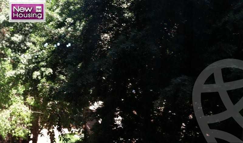 https://aqarmap.com.eg/en/listing/5776150-for-sale-cairo-al-zamalek-cairo-al-zamalek-el-zamalek