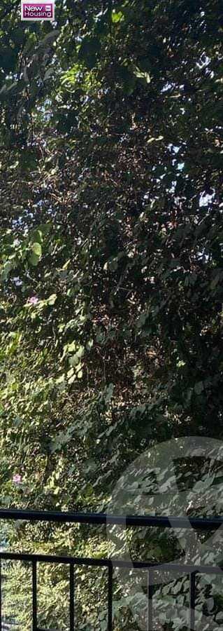 https://aqarmap.com.eg/en/listing/5866201-for-sale-cairo-al-zamalek-elzamalek-elqibliya