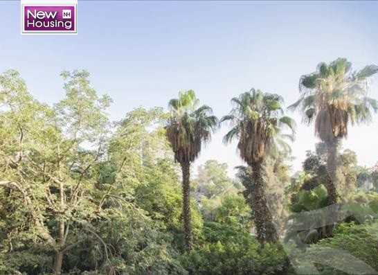 https://aqarmap.com.eg/en/listing/5871465-for-sale-cairo-al-zamalek-elzamalek-elqibliya