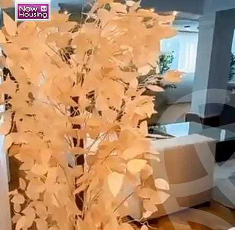 https://aqarmap.com.eg/en/listing/5983692-for-sale-cairo-al-zamalek