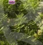 https://aqarmap.com.eg/en/listing/5989484-for-sale-cairo-al-zamalek