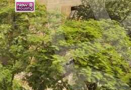 https://aqarmap.com.eg/en/listing/5989484-for-sale-cairo-al-zamalek