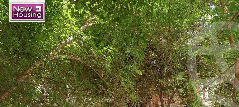 https://aqarmap.com.eg/en/listing/6077559-for-sale-cairo-al-zamalek