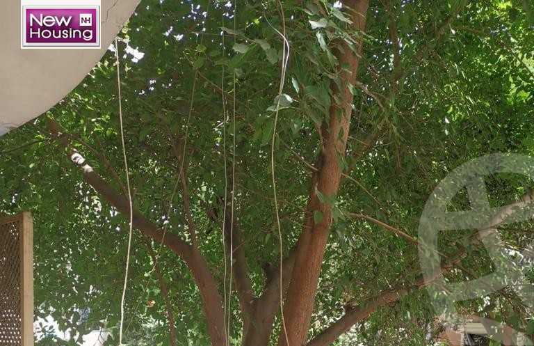 https://aqarmap.com.eg/en/listing/6077559-for-sale-cairo-al-zamalek