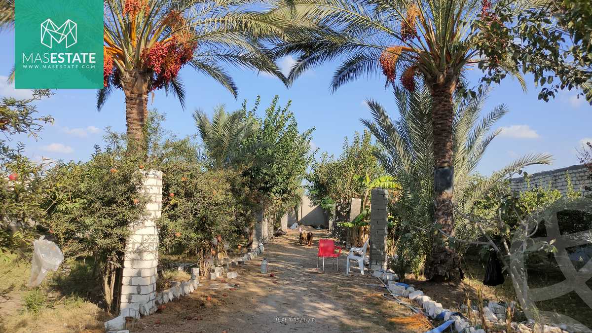 https://aqarmap.com.eg/ar/listing/3668352-for-sale-alexandria-bys