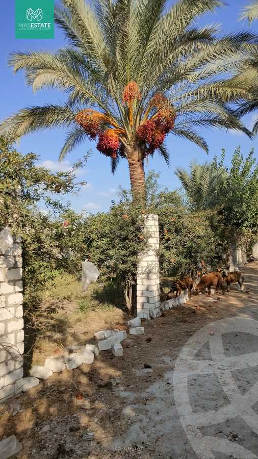 https://aqarmap.com.eg/ar/listing/3668352-for-sale-alexandria-bys