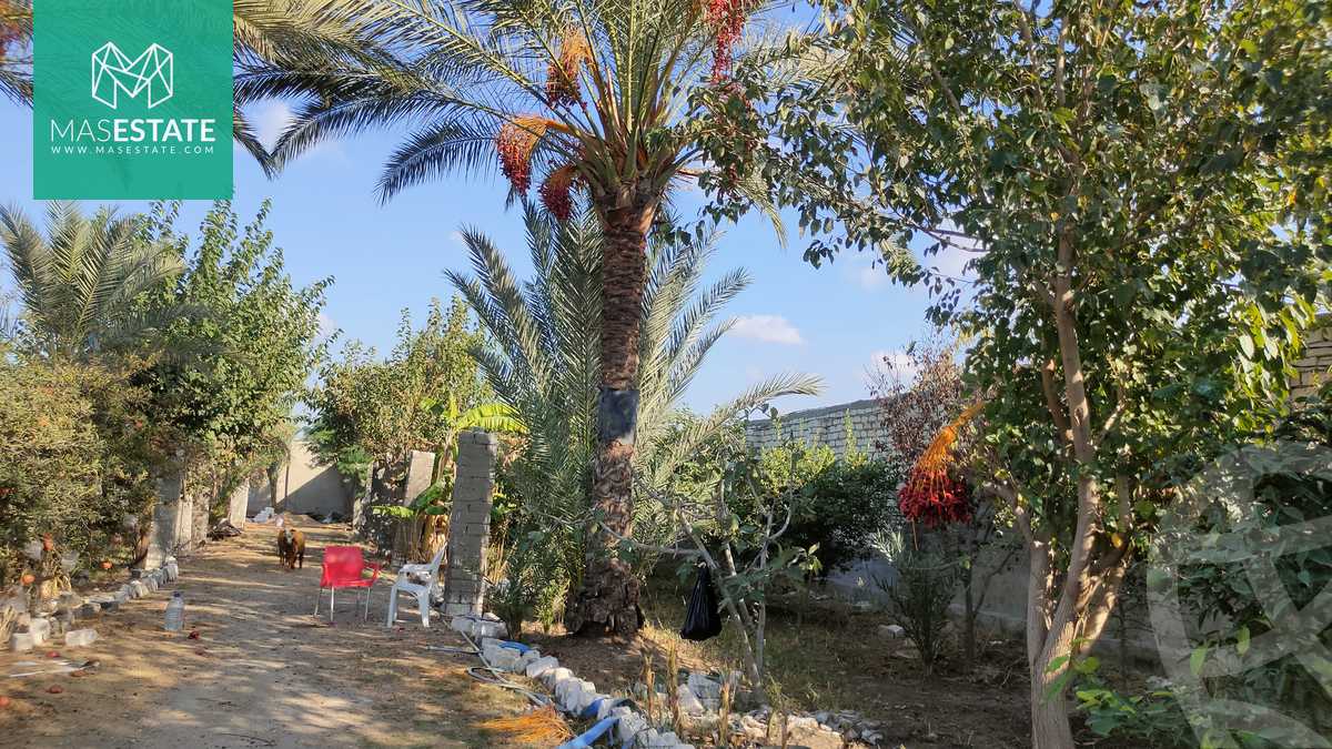 https://aqarmap.com.eg/ar/listing/3668352-for-sale-alexandria-bys