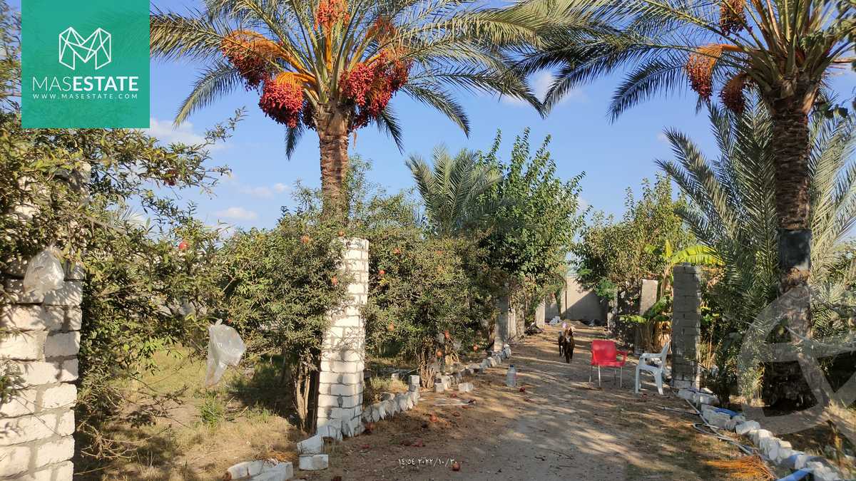 https://aqarmap.com.eg/ar/listing/3668352-for-sale-alexandria-bys