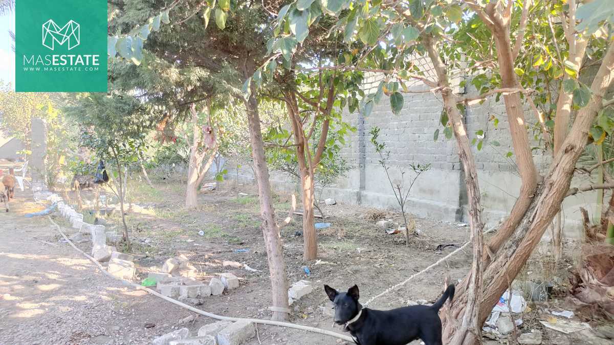 https://aqarmap.com.eg/ar/listing/3668352-for-sale-alexandria-bys