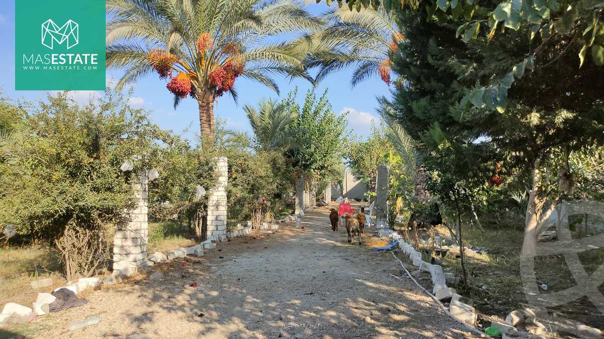 https://aqarmap.com.eg/ar/listing/3668352-for-sale-alexandria-bys