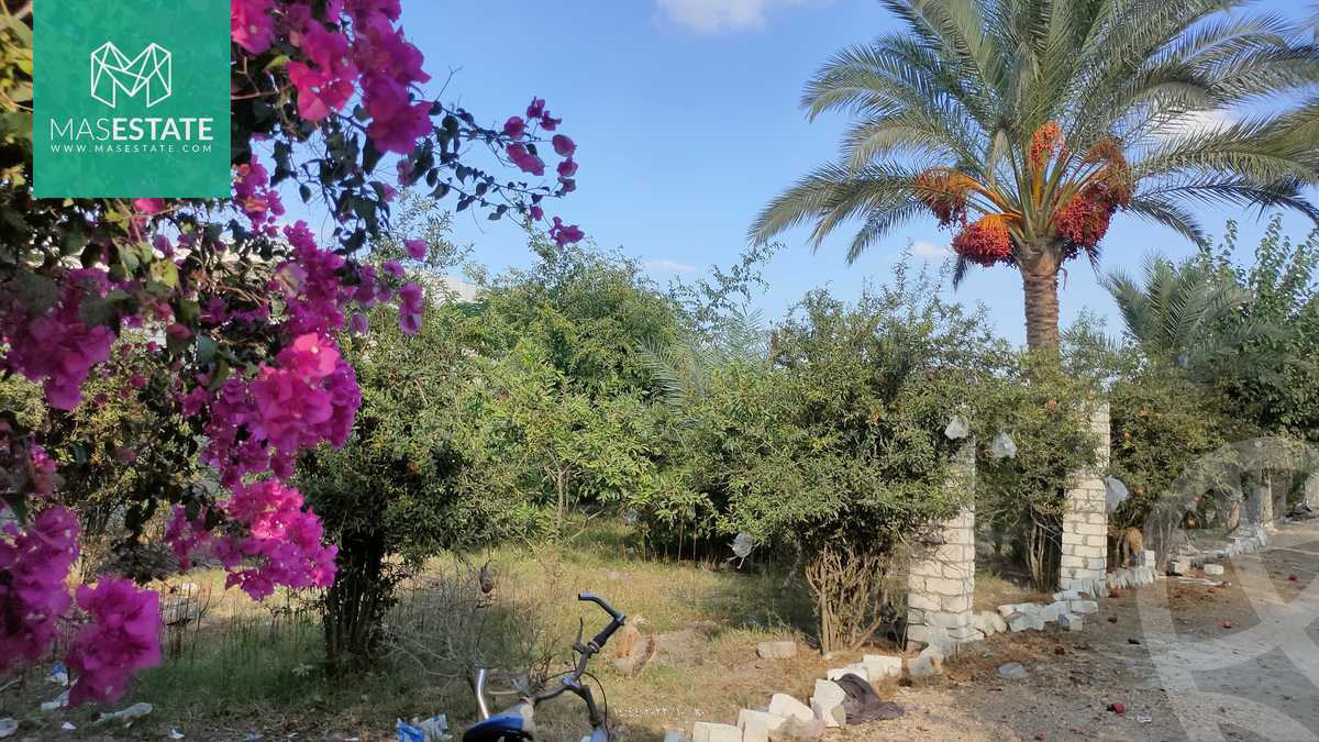 https://aqarmap.com.eg/ar/listing/3668352-for-sale-alexandria-bys