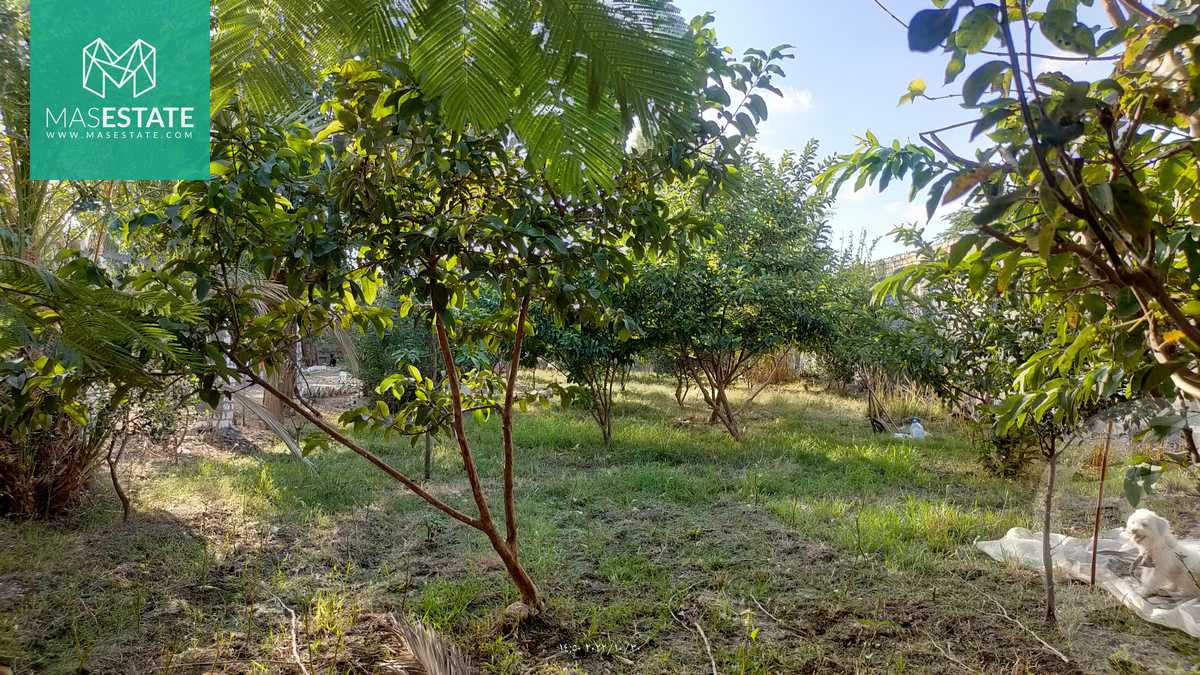 https://aqarmap.com.eg/ar/listing/3668352-for-sale-alexandria-bys