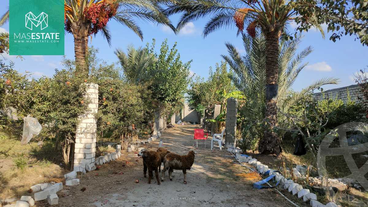 https://aqarmap.com.eg/ar/listing/3668352-for-sale-alexandria-bys