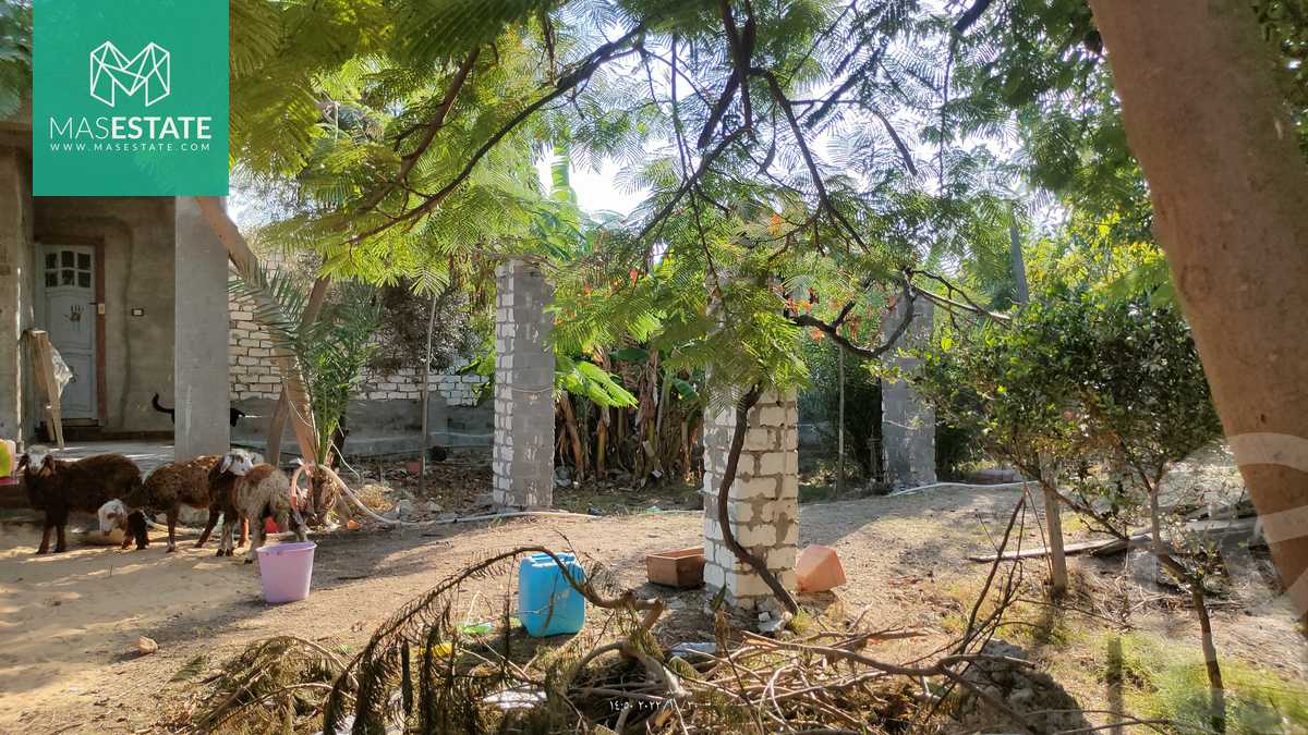 https://aqarmap.com.eg/ar/listing/3668352-for-sale-alexandria-bys