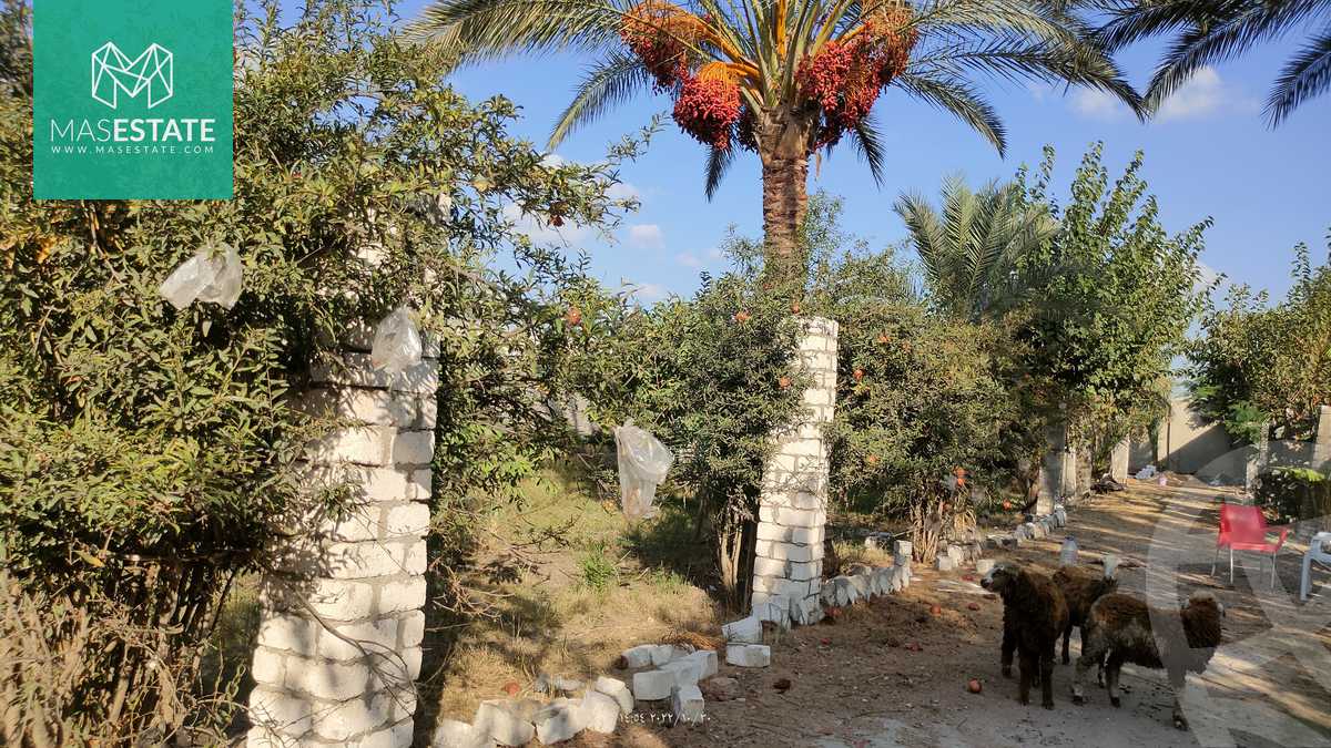 https://aqarmap.com.eg/ar/listing/3668352-for-sale-alexandria-bys