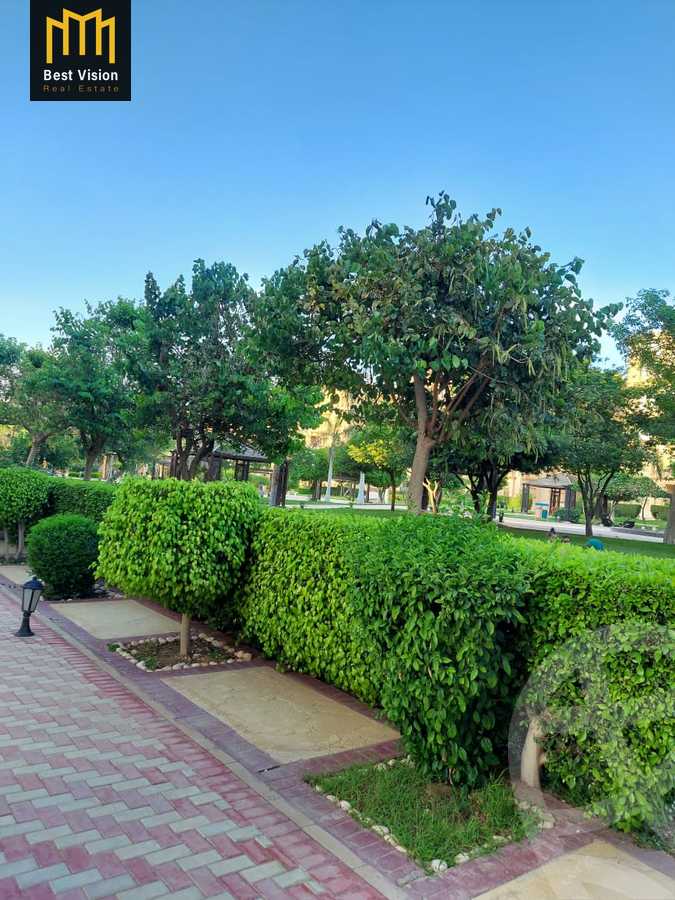 https://aqarmap.com.eg/ar/listing/3638134-for-rent-cairo-new-cairo-compounds-hayati-residence