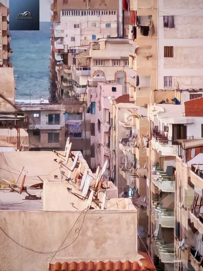 https://aqarmap.com.eg/en/listing/6571202-for-sale-alexandria-l-jmy-shataa-el-nakheel-street-10