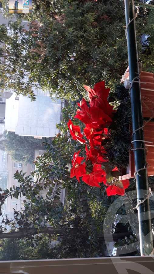 https://aqarmap.com.eg/en/listing/4347893-for-rent-cairo-al-zamalek