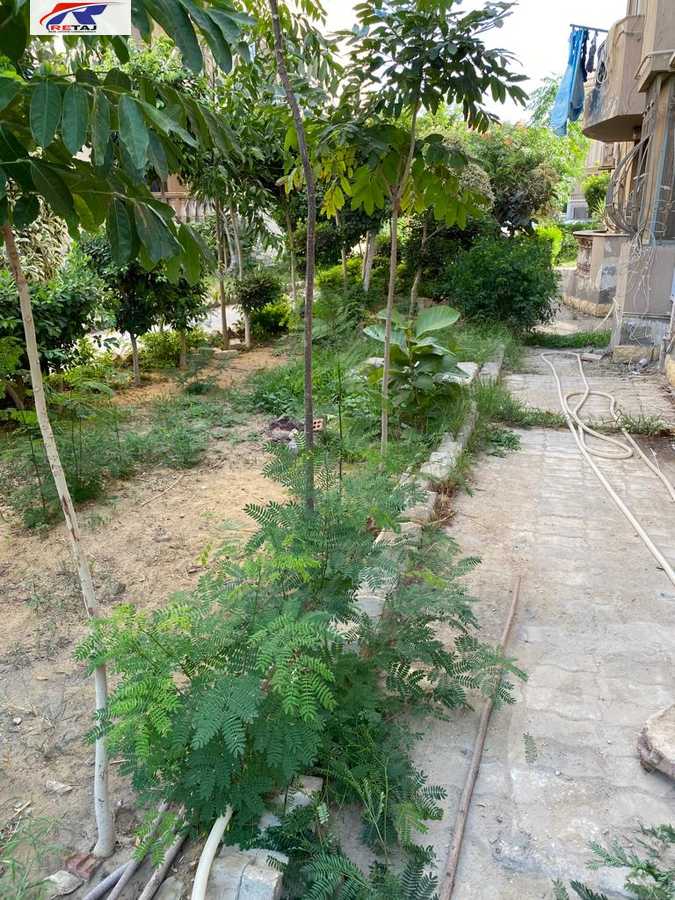https://aqarmap.com.eg/en/listing/4180405-for-rent-cairo-new-cairo-compounds-el-masrawiyeh