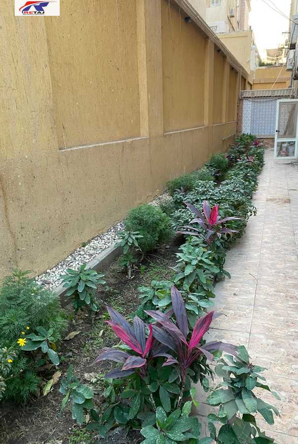 https://aqarmap.com.eg/en/listing/5335926-for-rent-cairo-new-cairo-ganob-el-akadamiya-south-academy-a-al-mekdad-ibn-omar-street