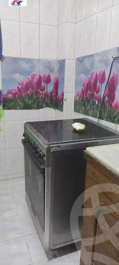 https://aqarmap.com.eg/en/listing/5863378-for-rent-cairo-nasr-city-8th-zone-dr-hassan-el-sharef-st