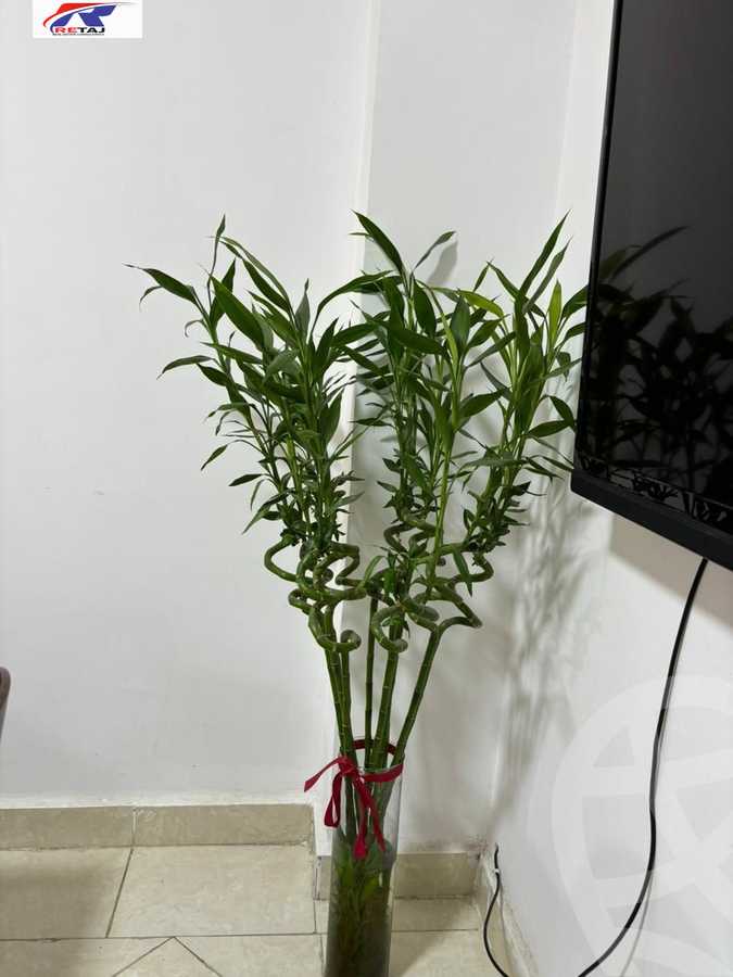 https://aqarmap.com.eg/en/listing/6036909-for-rent-cairo-nasr-city-compounds-gardinia-city