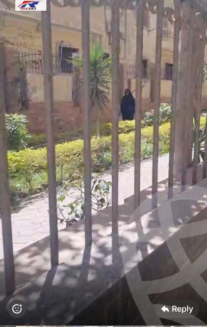 https://aqarmap.com.eg/en/listing/6118421-for-rent-cairo-new-cairo-el-narges-el-narges-omarat-mohamed-sabry-abu-alam-st