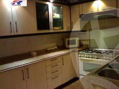 https://aqarmap.com.eg/en/listing/6558025-for-rent-cairo-nasr-city-abou-dawoud-el-zaheri