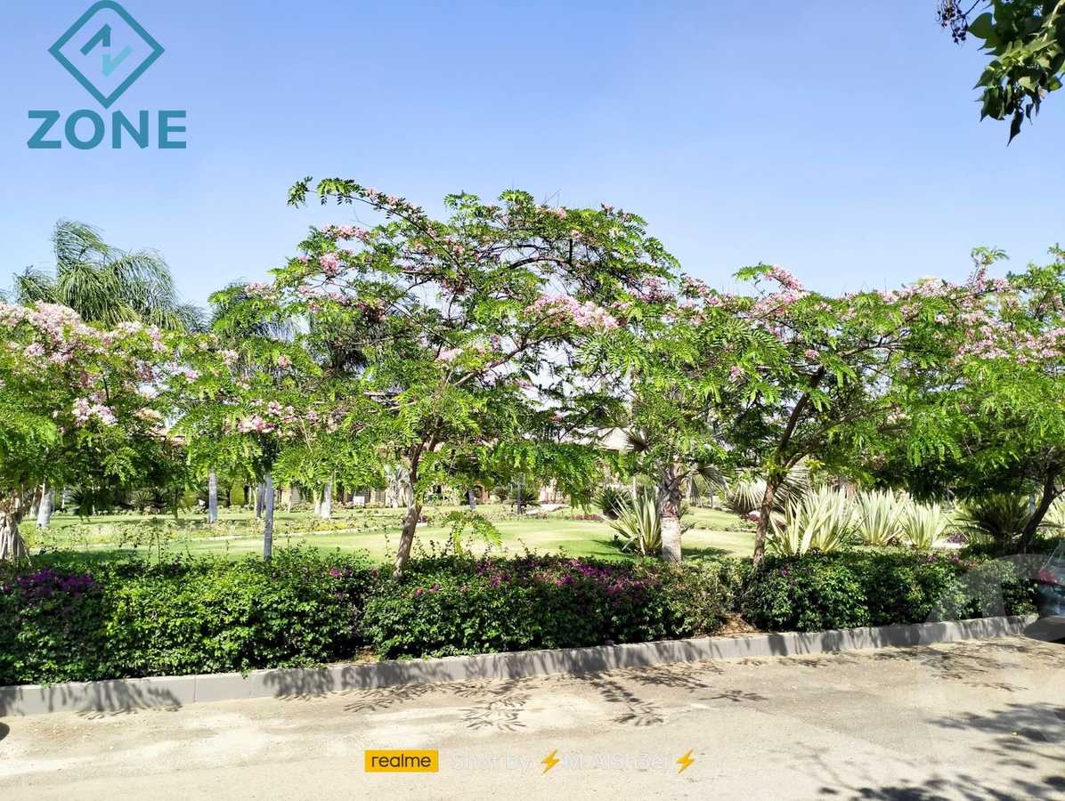 https://aqarmap.com.eg/en/listing/6052820-for-rent-cairo-new-cairo-madinaty-lmntq-lkhms-fylt-group-20