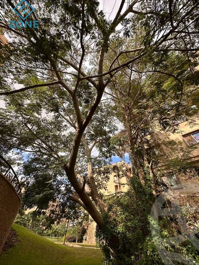 https://aqarmap.com.eg/en/listing/6329155-for-sale-cairo-new-cairo-madinaty-sixth-zone-buildings-ragab-sons