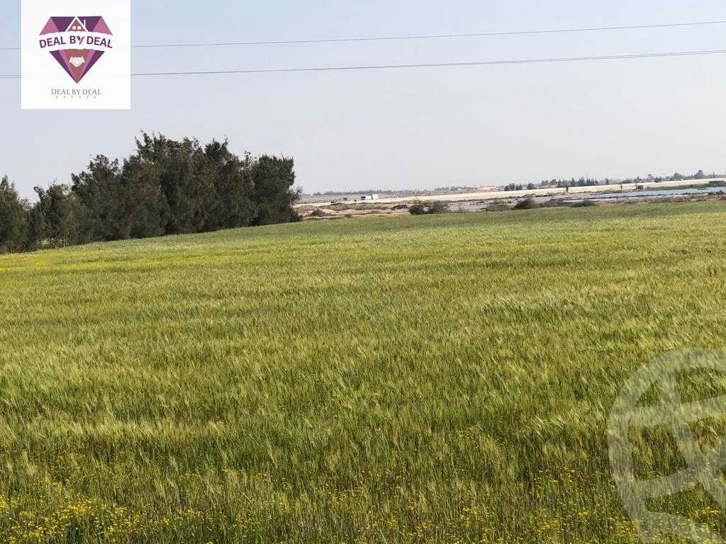 https://aqarmap.com.eg/ar/listing/4436438-for-sale-ismailia-kassassin